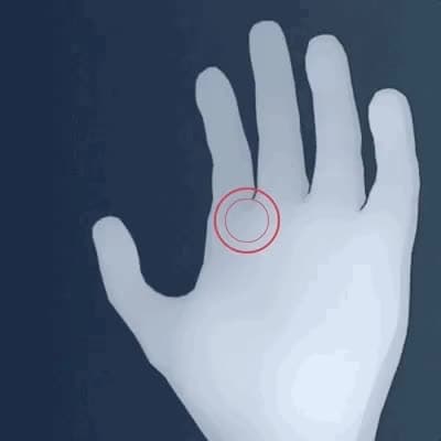 paradoxes-conseil.fr