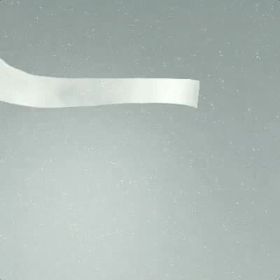 Prior Holdings - Experience